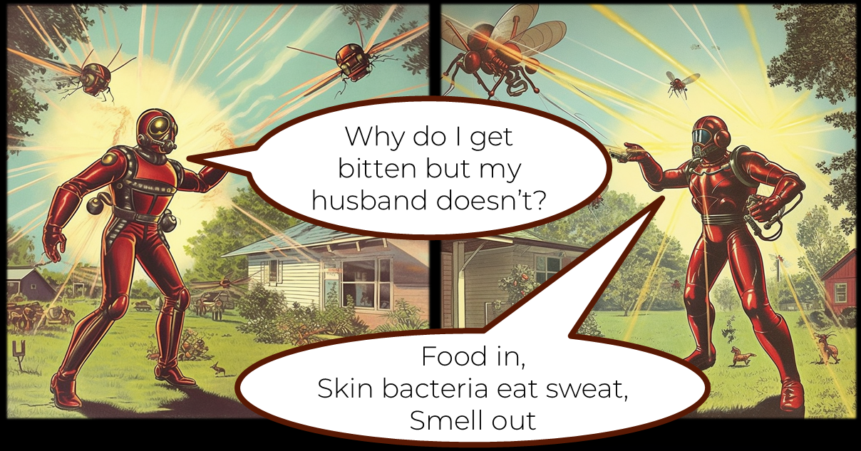 Fun Fact - Why some people get bitten by mosquitoes more than others - smell profile